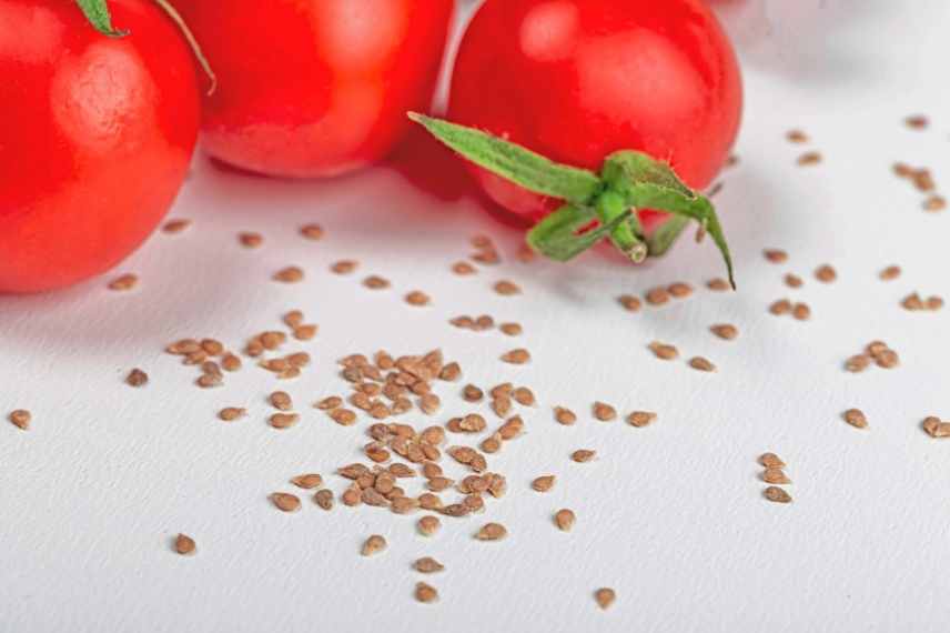 erreurs sur le semis des graines