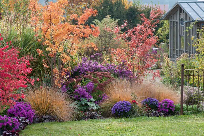 un jardin aux couleurs automnales