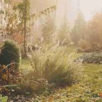 Et si on remettait les mains dans la terre à la Sainte-Catherine ?