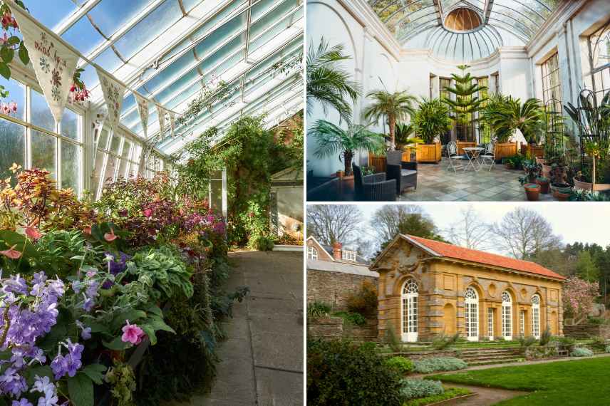 histoire du jardin d hiver