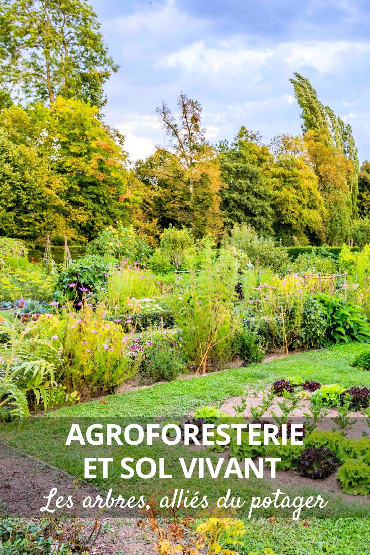 potager et agroforesterie