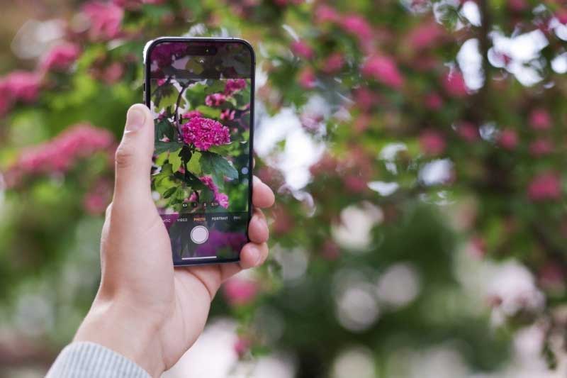 Tendance jardin 2026 - Jardin augmenté et connecté