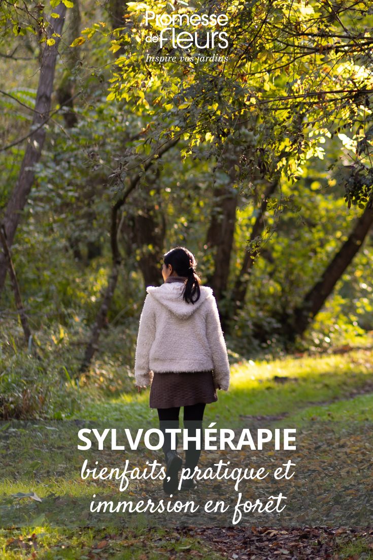 les bien faits des ballades en foret