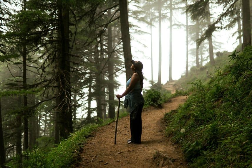 Une femme prend le temps d'observer la forêt lors d'une balade. 