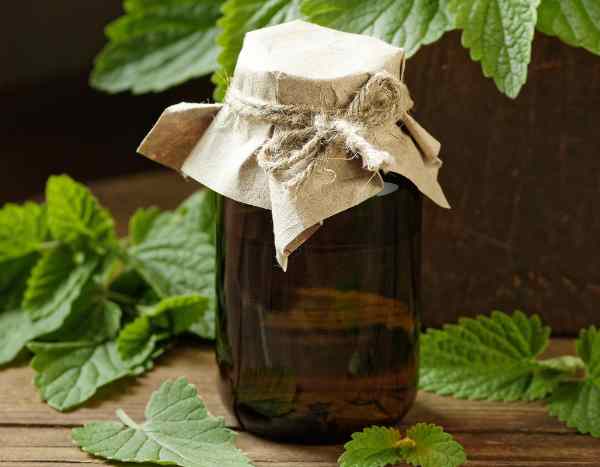 Comment faire son eau de mélisse maison ?