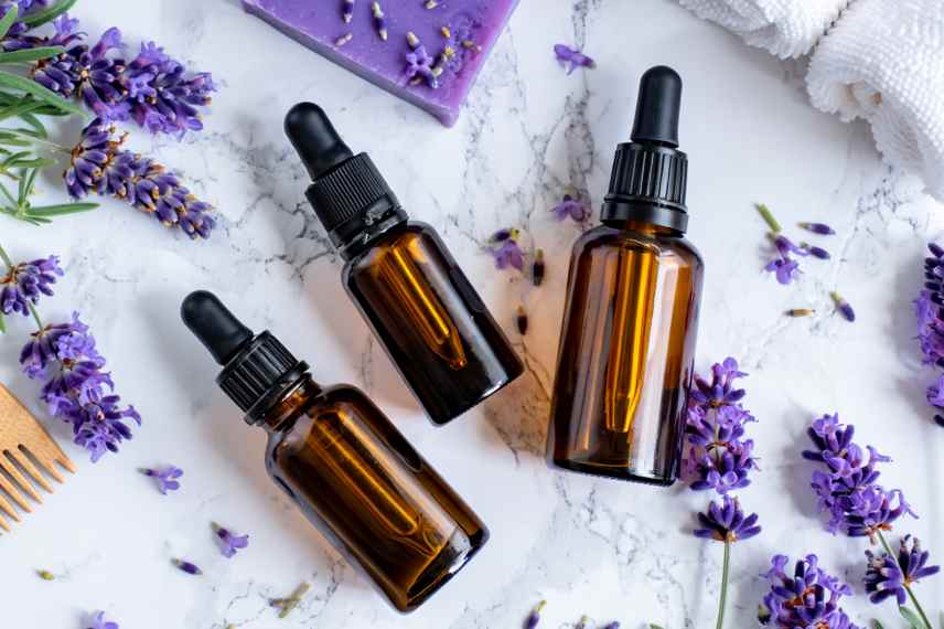 lavande en phytotherapie