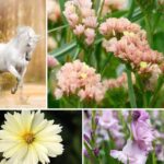 Tendance couleur Licorne