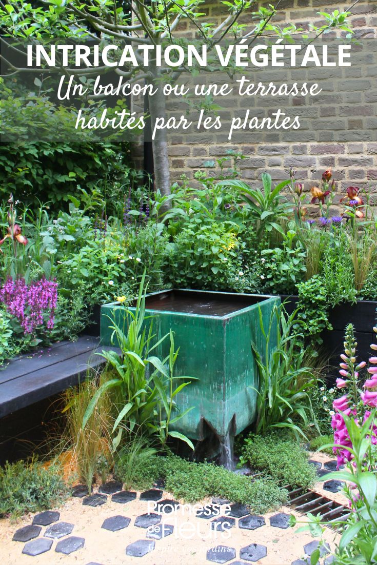 TERRASSE ET PLANTES