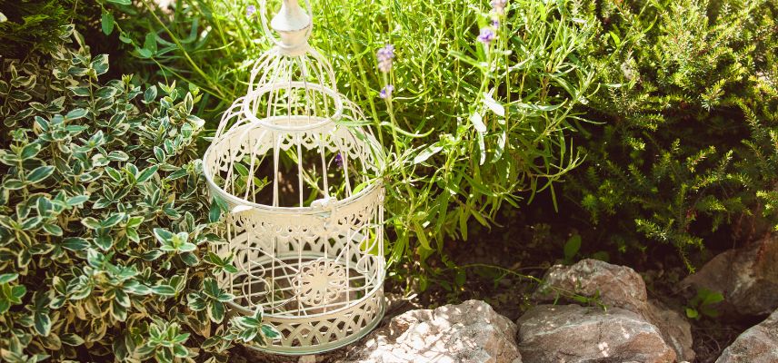 Les plantes qui aiment le sec doivent être plantées sur butte.