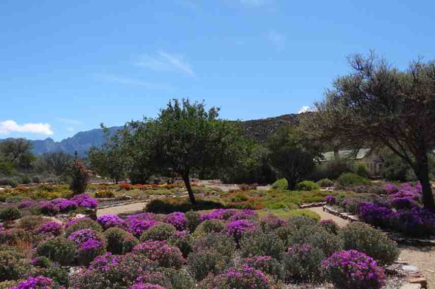 jardin massif et vent comment amenager