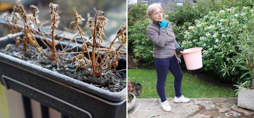 amenager terrasse printemps