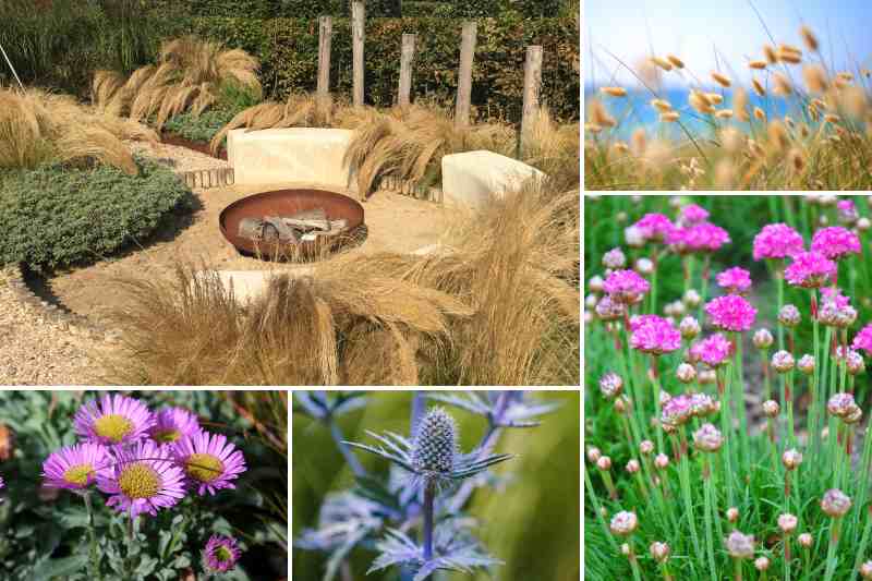 ideas para jardín de arena