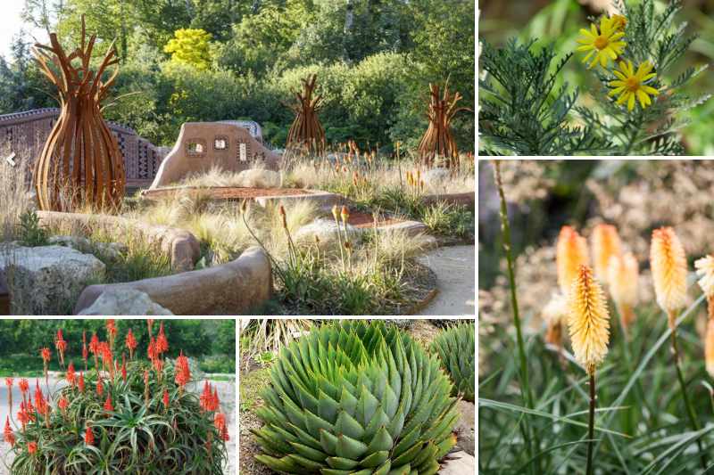 idea diseño jardín de arena
