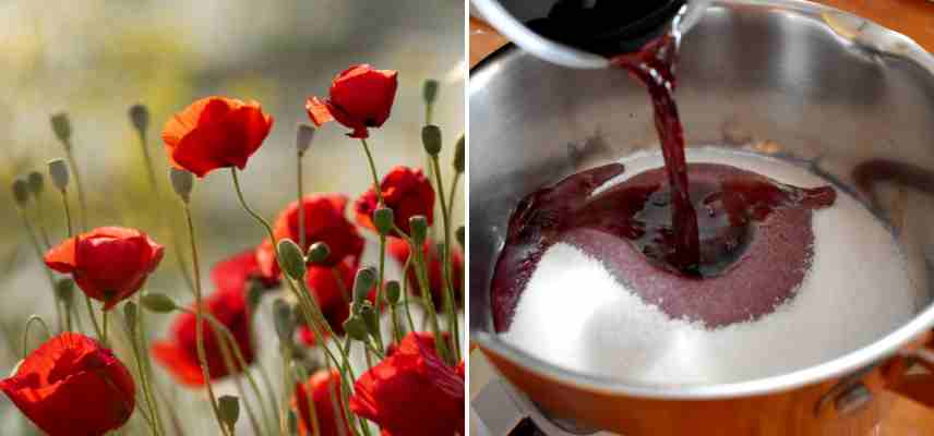 faire son sirop de coquelicot maison