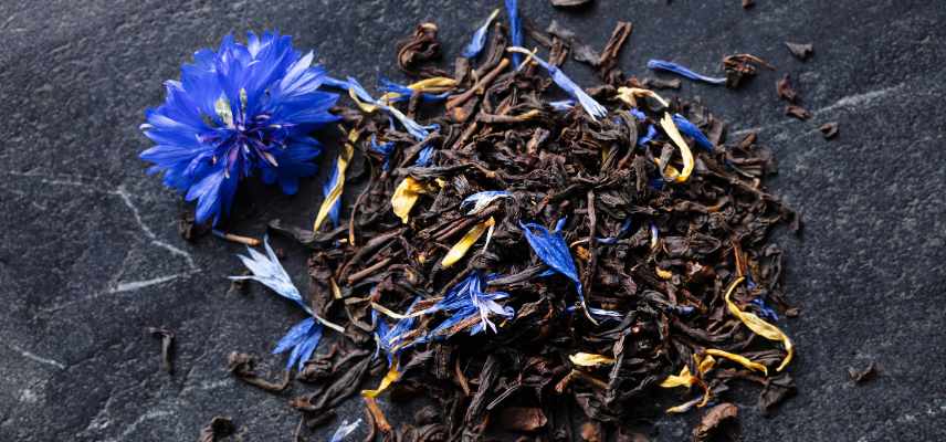 fleurs pour infusion thés lesquelles