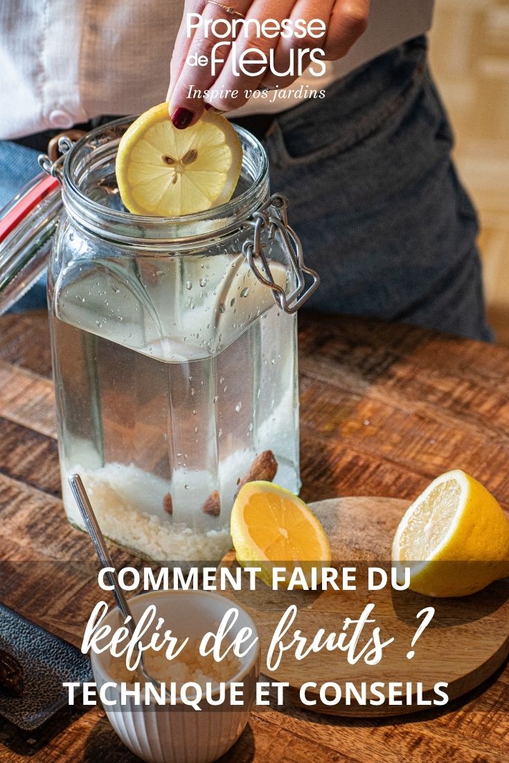 recette kefir de fruits