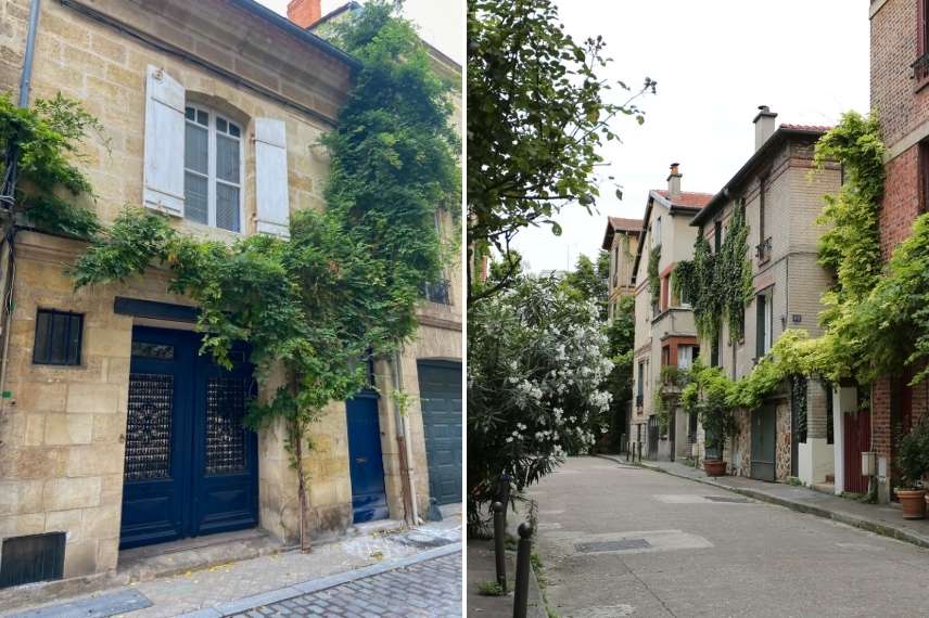trottoir vegetalise plantes ideales