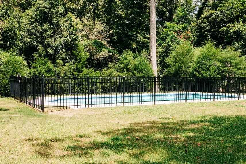 quels arbustes plantes autour cloture piscine securisee