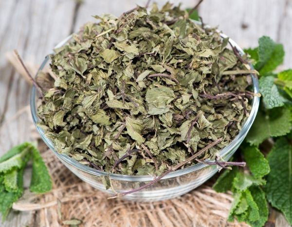 Comment faire sécher la menthe fraîche ?