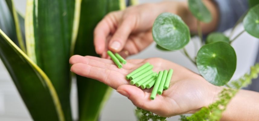 combien d engrais plante interieur en ete