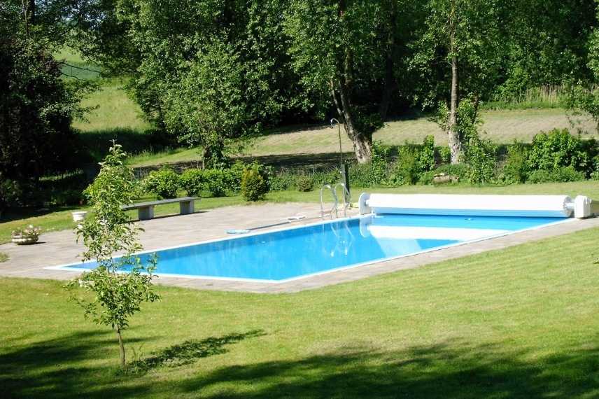 arbres croissance rapide pour piscine