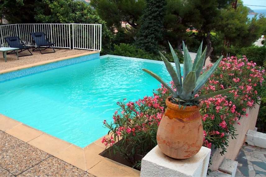 choix plante ornementale pour piscine