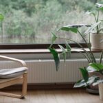 Canicule : quelles plantes d'intérieur pour rafraîchir la maison ?