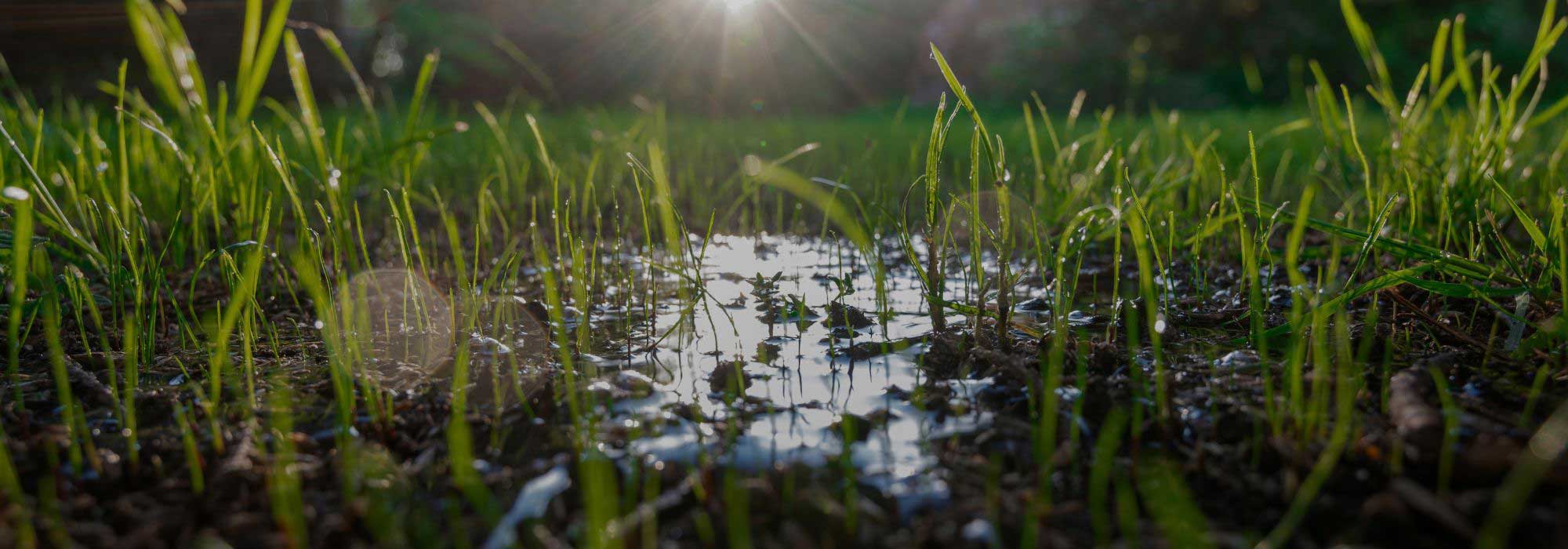 Comment aider le sol à garder l’eau ?