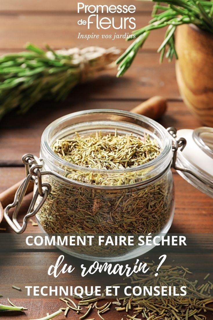 romarin séché
