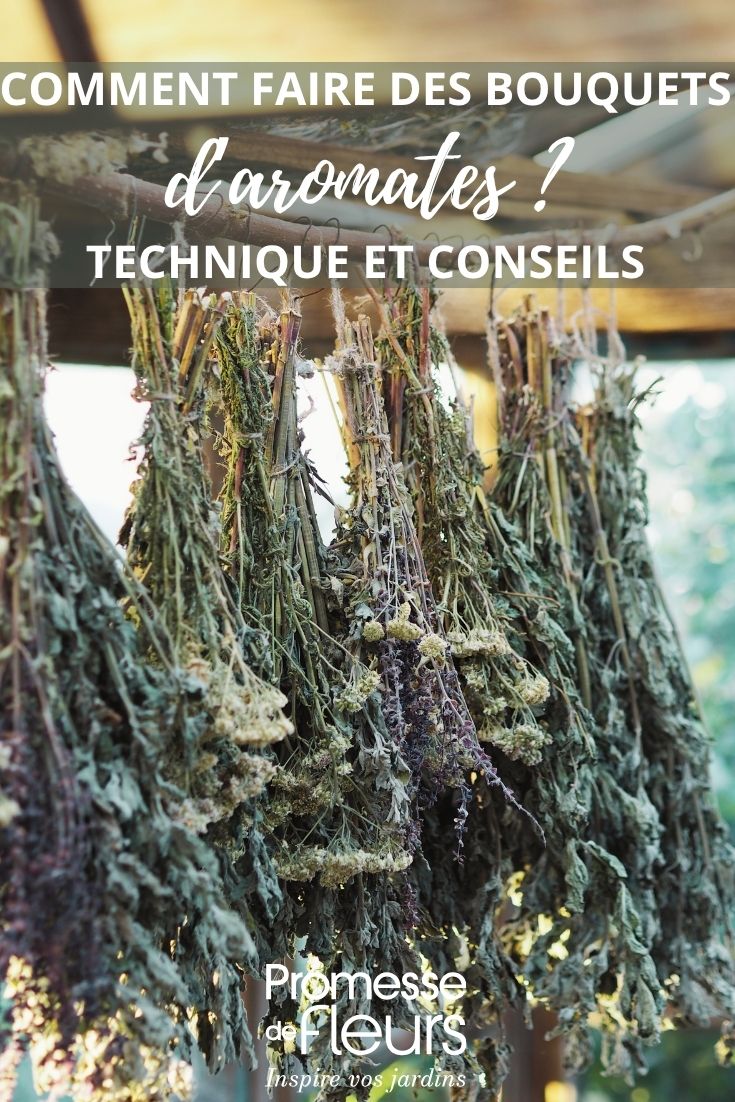 bouquet de plantes médicinales