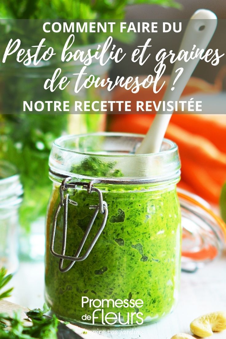 Pesto au basilic et graines de tournesol, une variante gourmande