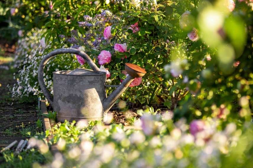 watering can