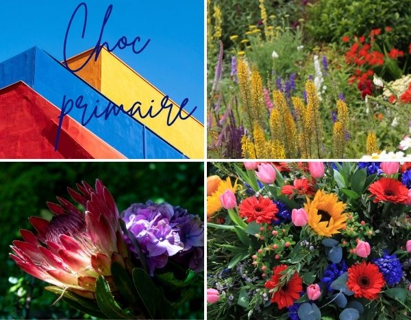 Tendance couleur : "Choc primaire" ravive le jardin