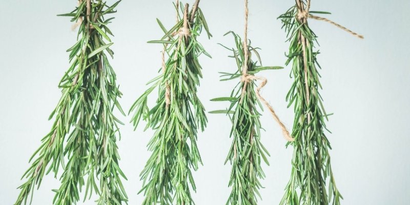 drying rosemary how-to