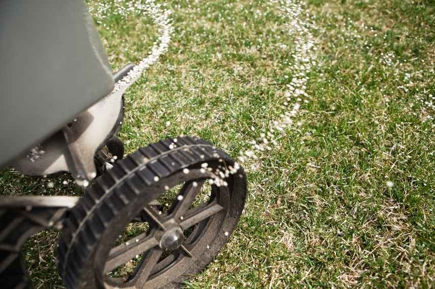 how to repair lawn damage after summer drought