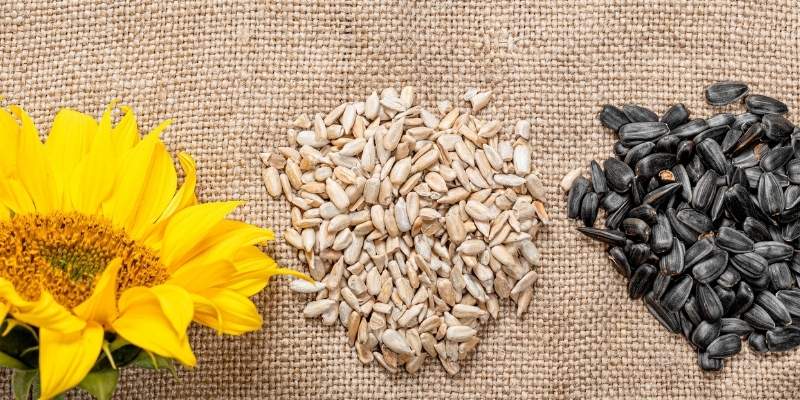 what to do with sunflower seeds