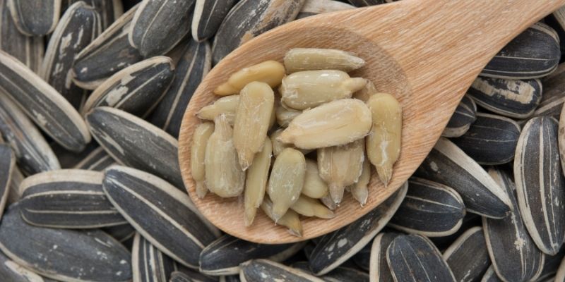 storing sunflower seeds