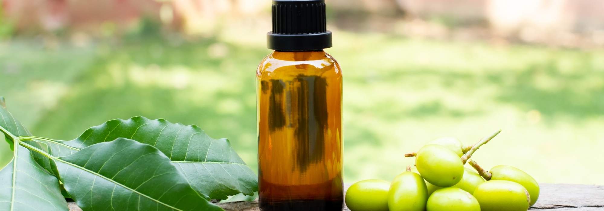 Comment utiliser l'huile de neem au jardin ?