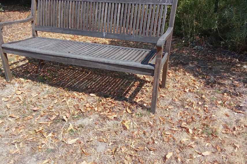 lawn care during heatwaves and droughts