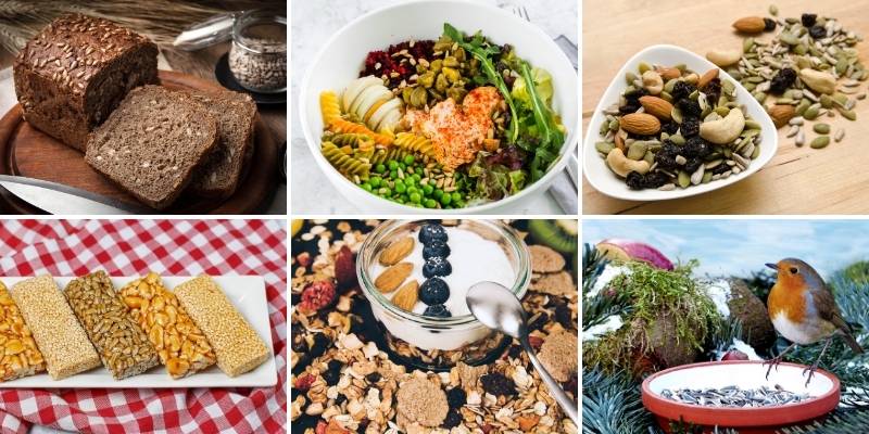 uses for sunflower seeds in cooking and for birds