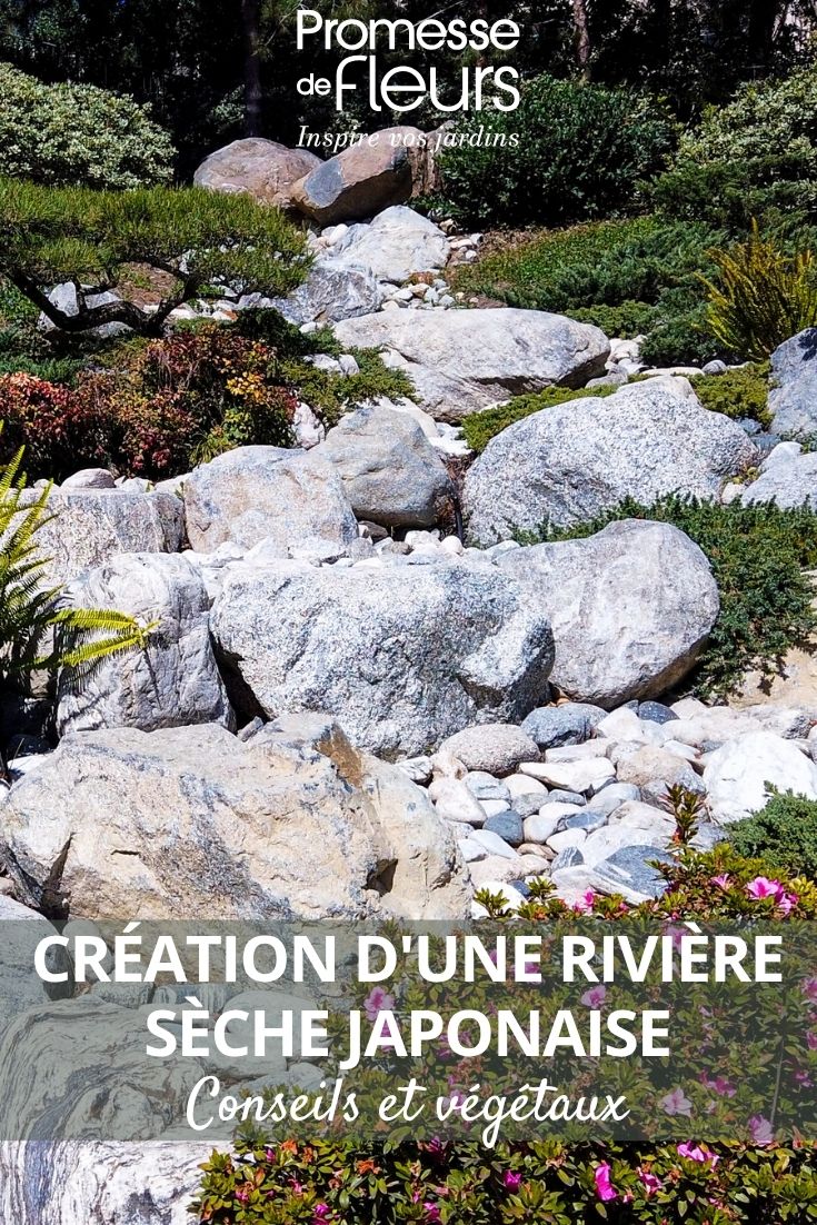 Création d'une rivière sèche japonaise : conseils et végétaux