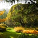 Comment agrandir un massif existant en automne ?