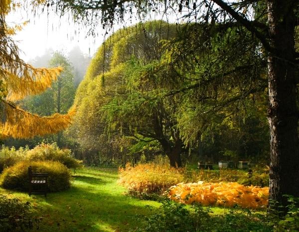 Comment agrandir un massif existant en automne ?