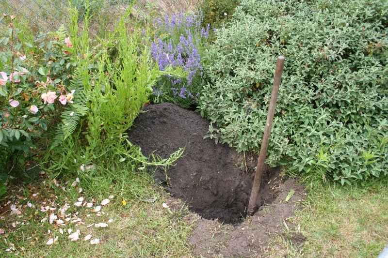 cavar un hoyo ancho en el jardín