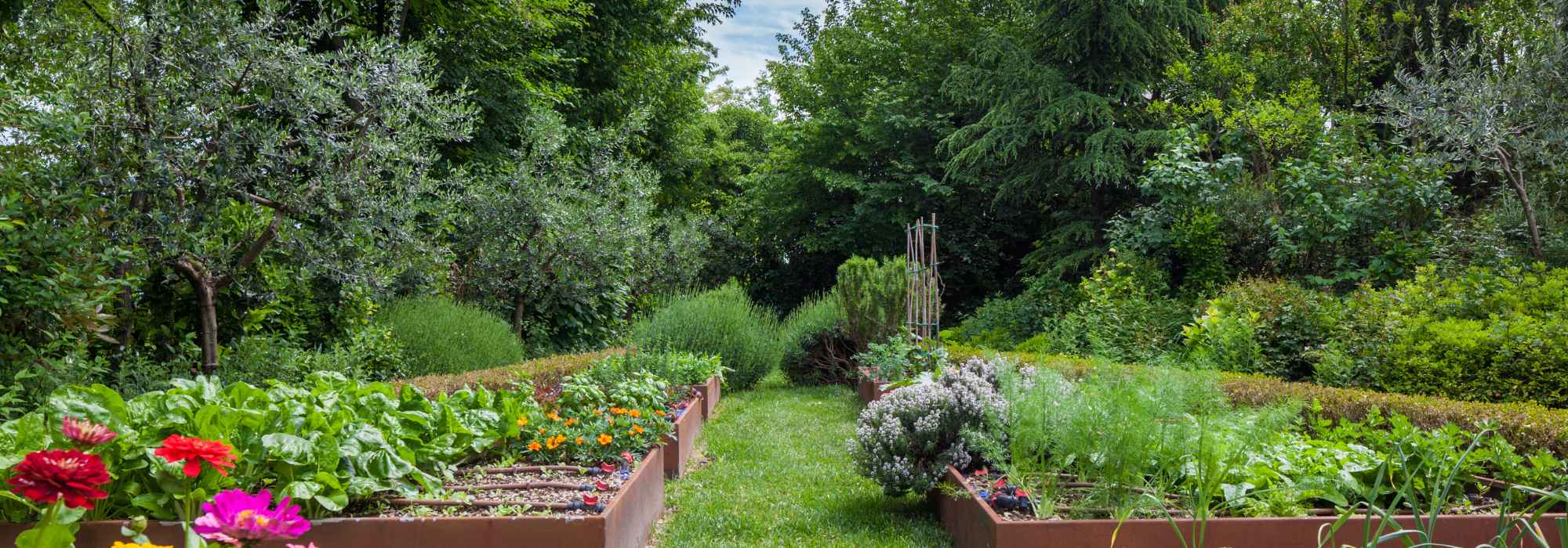 9 conseils de jardinage repris par tous les jardiniers mais qui s'avèrent faux !