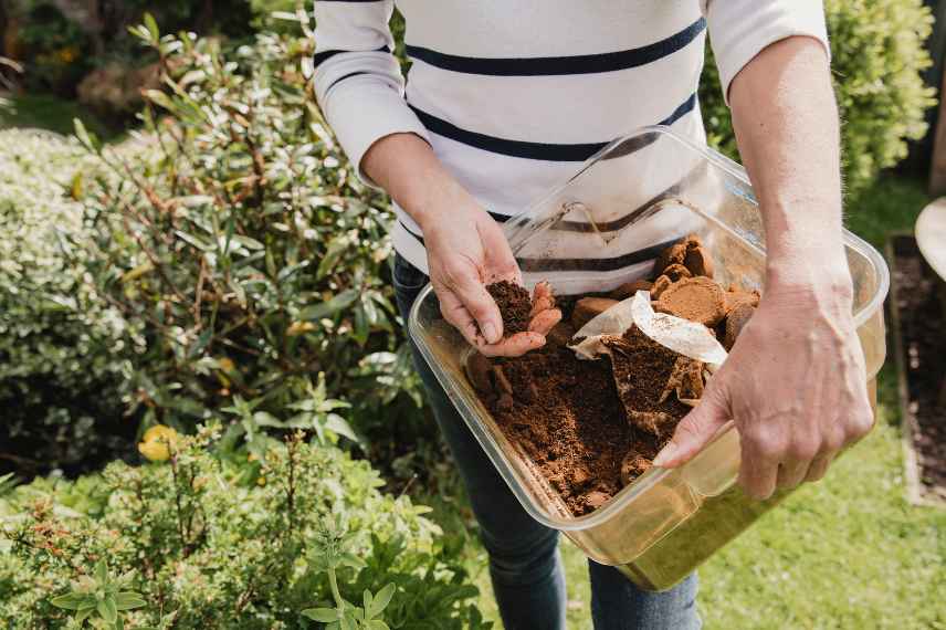 garden myths