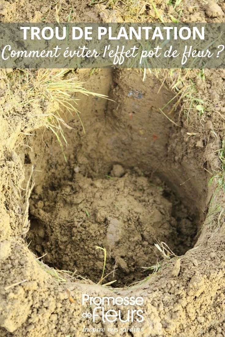 photo d'un trou pour plantation au jardin