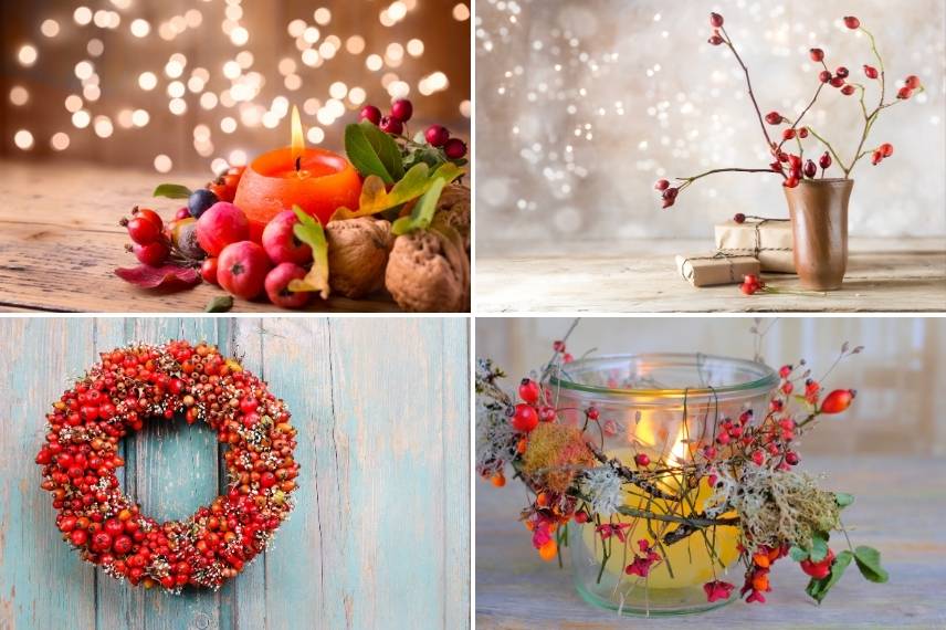 rose hip berries Christmas winter decoration