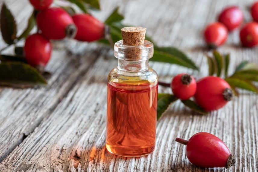 rose hip oil recipe