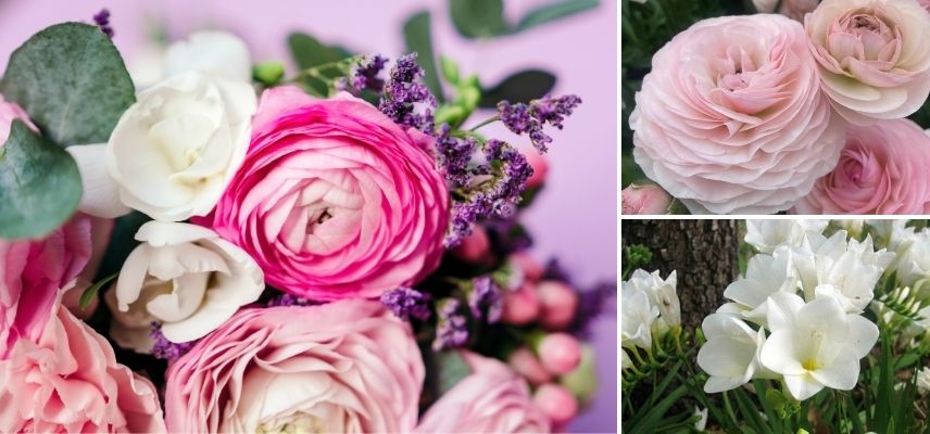 bouquet rose avec renoncule